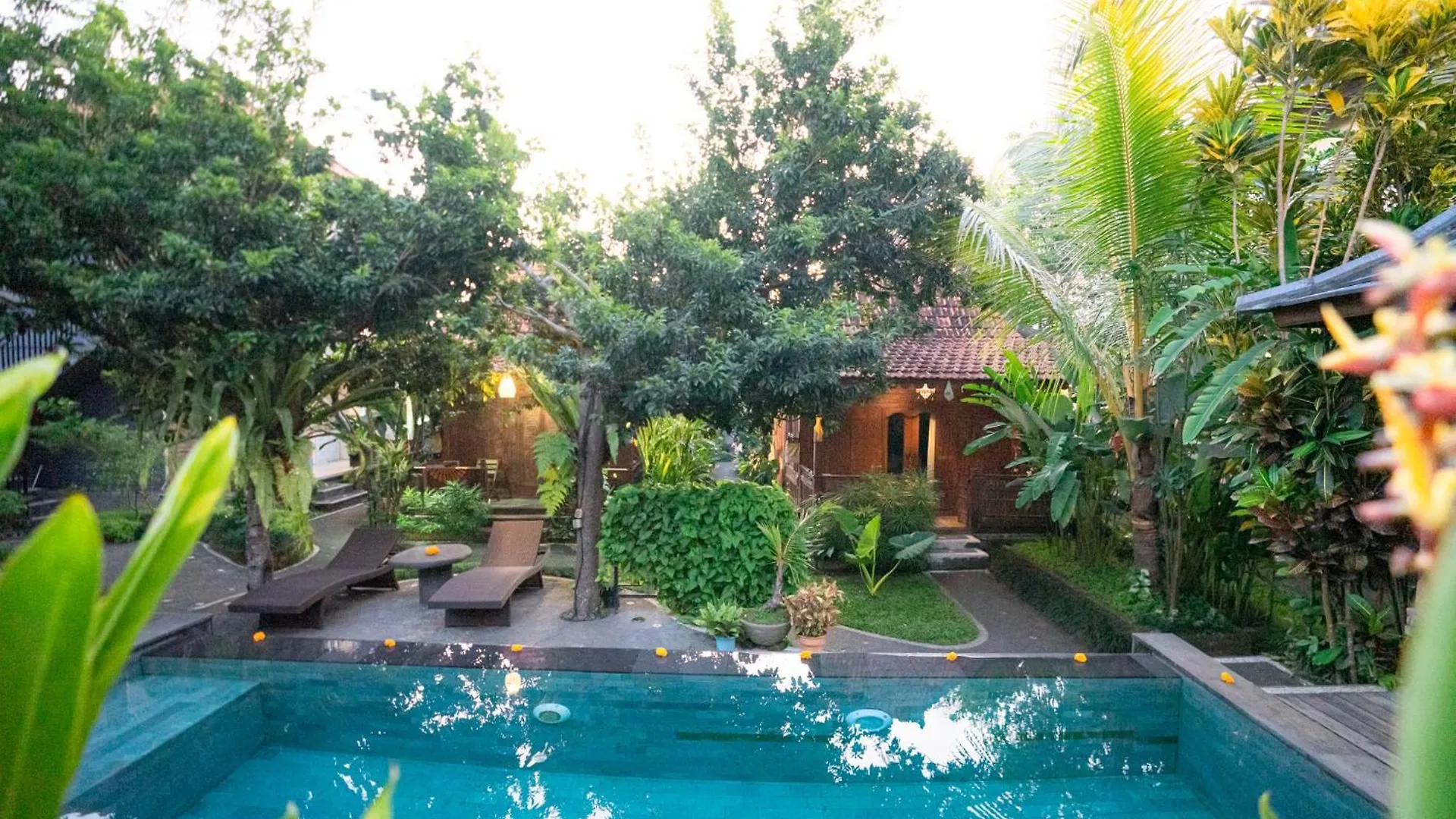 *** Guest house Arana Garden Ubud Hotel Indonesia